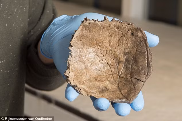 Nhà nghiên cứu Marcus Niekus cho hay vào thời điểm người phụ nữ trên sinh sống, cộng đồng người săn bắt, hái lượm sống ở khu vực Biển Bắc đi lang thang quanh các vùng đồng bằng.