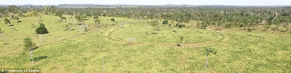 Ngoài những dấu tích về hơn 1.000 ngôi làng trên, các chuyên gia còn tìm ra thấy những geoglyph. Đây là những hình vẽ, kí hiệu được tạo ra trên cánh đồng, ngọn đồi trống, tồn tại qua nhiều thế kỷ. Các geoglyph tại Amazon là những hình vuông, hình tròn và ngũ giác rất kỳ lạ. Mục đích của những hình vẽ cổ xưa này cho đến nay vẫn là bí ẩn. Mời quý độc giả xem video: Cuộc sống biệt lập của thổ dân Amazon (nguồn: VTC14)