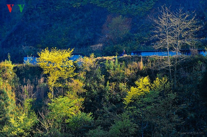 Ngắm những bản làng và những đường cua uốn lượn dưới chân, ngắm những dãy núi đá trùng điệp xa xa, những vệt nắng cuối ngày kỳ ảo, bạn sẽ thấy mình như đang ở nơi có thể chạm đến bầu trời.