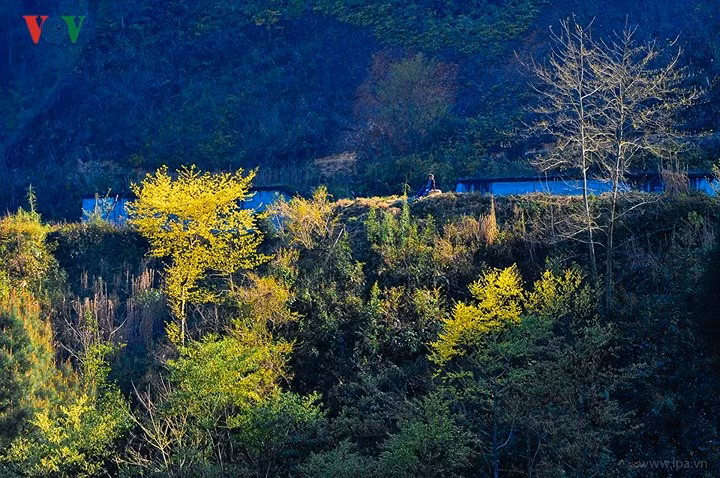 Ngắm những bản làng và những đường cua uốn lượn dưới chân, ngắm những dãy núi đá trùng điệp xa xa, những vệt nắng cuối ngày kỳ ảo, bạn sẽ thấy mình như đang ở nơi có thể chạm đến bầu trời.