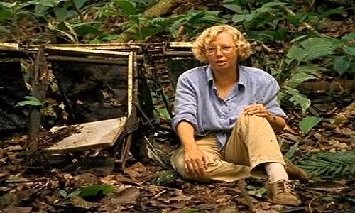 Trong chuyến bay định mệnh ấy, Juliane Koepcke, 17 tuổi và mang quốc tịch Đức, đi cùng mẹ đã may mắn sống sót khi máy bay rơi xuống đất.