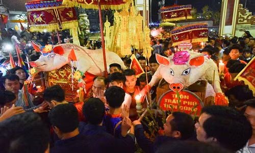 Hội rước lợn La Phù: Vào ngày 13 tháng Giêng, hội La Phù (Hoài Đức, Hà Nội) được tổ chức trang trọng để tưởng nhớ Đức Tam Lang Đại Vương mổ lợn khao quân trước khi lên đường đánh giặc. Trong đó, những “ông lợn” của đám rước sẽ được chăm sóc theo một chế độ đặc biệt.