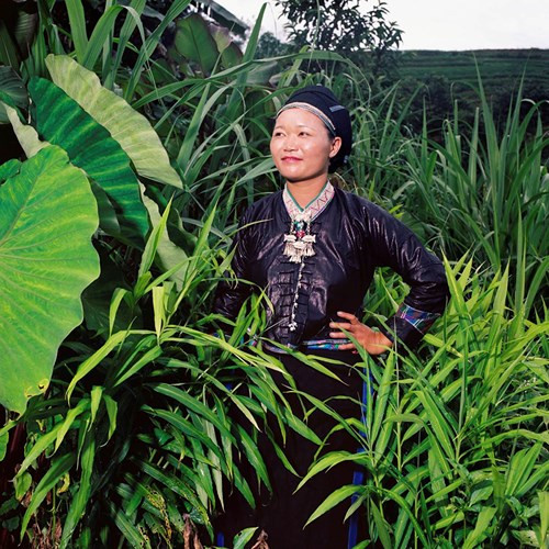 Một phụ nữ trẻ người Nùng trong trang phục truyền thống, giữa những khóm cây xanh mướt trong vườn nhà. Bức ảnh được chụp tại bản người Nùng thuộc Huyện Hoàng Su Phì.