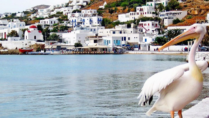 Mykonos, Hy Lạp. Những ngôi nhà được sơn hoàn toàn trắng, nhiều nhà hàng với những món ăn ngon nổi tiếng thế giới và những bãi biển đẹp sẽ là những dấu ấn khó quên đối với du khách khi đến đây.