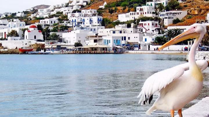 Mykonos, Hy Lạp. Những ngôi nhà được sơn hoàn toàn trắng, nhiều nhà hàng với những món ăn ngon nổi tiếng thế giới và những bãi biển đẹp sẽ là những dấu ấn khó quên đối với du khách khi đến đây.
