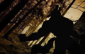 Kế đến người chó dụ dỗ con người đuổi theo chúng và tìm cơ hội tấn công nạn nhân.