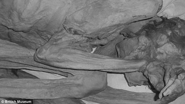 Xác ướp người đàn ông có dấu hiệu hình chú bò hoang và chú cừu Barbary được tìm thấy cách đây khoảng 100 năm trước. Hình ảnh chụp cắt lớp CT cũng cho thấy xác ướp này thuộc về một thanh niên độ tuổi từ 18 - 21. Người này chết vì bị đâm dao vào lưng.