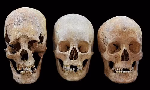 Việc phát hiện những hộp sọ dài của phụ nữ châu Âu thời Trung cổ, trong đó có 14 hộp sọ ở 6 nghĩa trang Bavaria khiến giới chuyên gia, nhà khoa học "bối rối" trong nhiều thập kỷ.