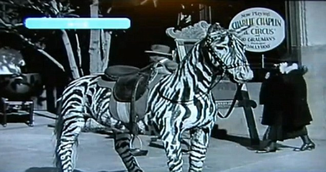 Trong bộ phim "The Circus" năm 1928 của Charlie Chaplin, một quý bà lọt vào khung hình của đoàn quay phim và gây chú ý với hành động đặc biệt.