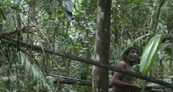 Hình ảnh người đàn ông tộc Kawahiva sâu trong rừng xanh _ Ảnh ST