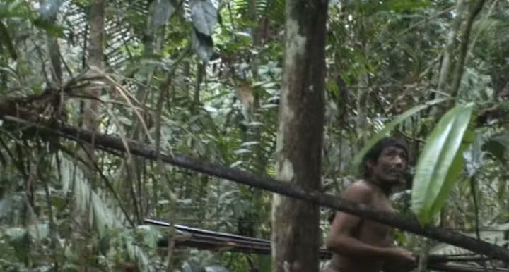 Hình ảnh người đàn ông tộc Kawahiva sâu trong rừng xanh _ Ảnh ST