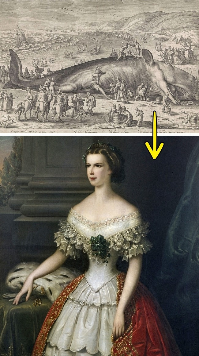  6. Xương cá voi làm đồ lót. Bất kỳ một con cá voi nào dạt vào bờ biển đều thuộc về gia đình hoàng gia. Đầu là của nhà vua và phần đuôi của nữ hoàng. Họ thường dùng xương để chế tạo ra đồ lót.