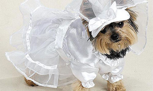 Lola mặc trang phục được thiết kế riêng.