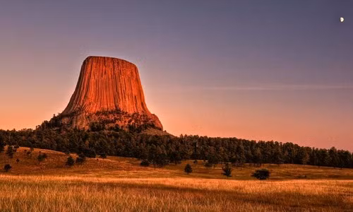 Thấy con gấu to lớn, hung dữ, các bé gái vội chạy về làng nhưng không kịp nên vội vã nhảy lên một tảng đá nhỏ.
