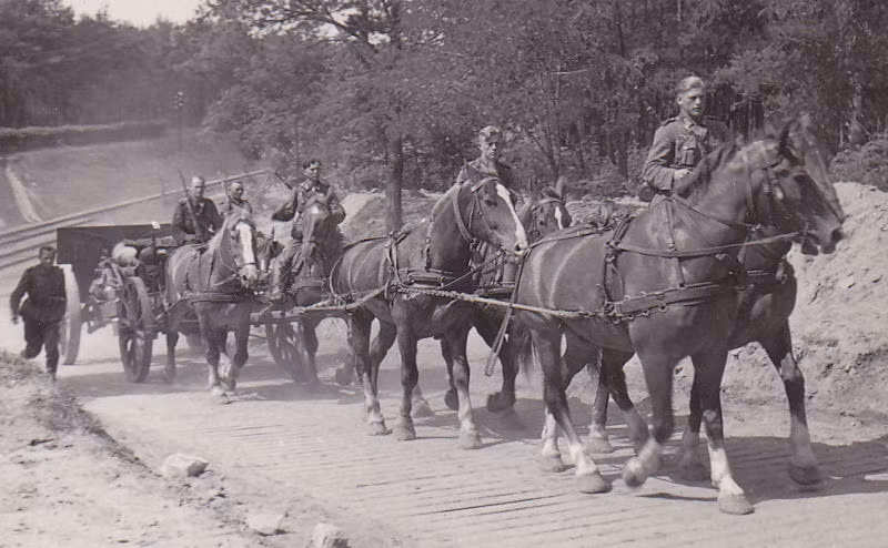 Sau khi chiến tranh thế giới 2 kết thúc, ngựa không còn được sử dụng trên các chiến trường.