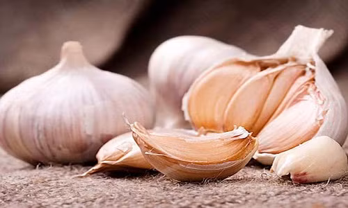 Dư luận mấy ngày qua đang xôn xao về vụ án ca sĩ Châu Việt Cường nhét tỏi vào miệng cô gái trừ tà ma, khiến nạn nhân tử vong. Trên thực tế, quan niệm dùng tỏi là một trong những cách thức trừ tà ma khá phổ biến của người xưa. Người xưa quan niệm rằng, tỏi có thể làm giảm tinh khí của hồn ma.