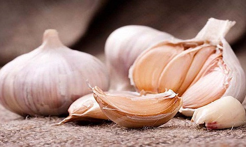 Dư luận mấy ngày qua đang xôn xao về vụ án ca sĩ Châu Việt Cường nhét tỏi vào miệng cô gái trừ tà ma, khiến nạn nhân tử vong. Trên thực tế, quan niệm dùng tỏi là một trong những cách thức trừ tà ma khá phổ biến của người xưa. Người xưa quan niệm rằng, tỏi có thể làm giảm tinh khí của hồn ma.