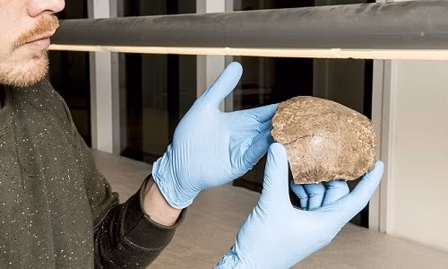 Các ngư dân Hà Lan đã tìm thấy một phần xương sọ 13.000 năm tuổi và xương động vật tại khu vực có tên gọi Doggerland, Biển Bắc, cách bờ biển phía Đông của Anh khoảng 100 km.