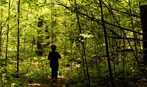 Trong suốt quá trình điều tra, cảnh sát và cơ quan chức năng không tìm thấy bất cứ manh mối nào về tung tích của 600 người dân ở ngôi làng Hoer Verde.