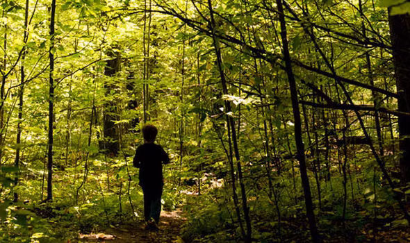 Trong suốt quá trình điều tra, cảnh sát và cơ quan chức năng không tìm thấy bất cứ manh mối nào về tung tích của 600 người dân ở ngôi làng Hoer Verde.