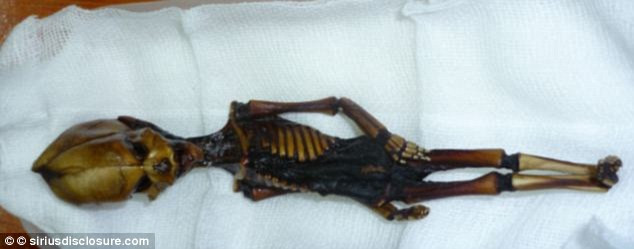 Việc tìm thấy xác ướp bé gái chỉ cao hơn 15 cm đã tiết lộ một bi kịch của người phụ nữ sinh con dị dạng. Về sau, thi hài đứa trẻ đứa trẻ được bảo quản và xác ướp bị mua bán.