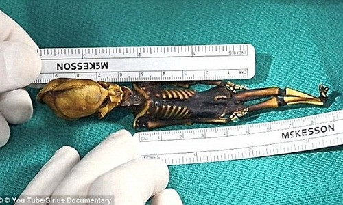 Cụ thể, những thử nghiệm di truyền học tại Đại học California, San Francisco và Đại học Stanford đã chứng minh xác ướp nghi là người ngoài hành tinh trên là của bé gái chết cách đây khoảng 40 năm.