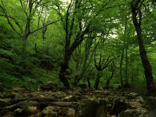 Không ai biết toàn bộ cư dân ngôi làng Hoer Verde đã gặp phải chuyện gì hay họ đã chuyển đến nơi nào sinh sống.