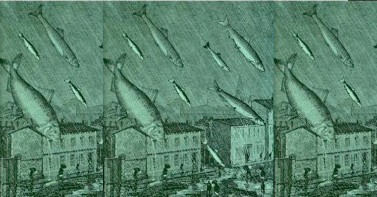 Vào tháng 3/2010.,người dân ở thị trấn Lajamanu, Australia chứng kiến cảnh tượng hiếm gặp là vô số con cá pecca nhỏ màu trắng rơi từ trên trời trong cơn mưa. Nhiều con cá vẫn sống khi rơi xuống đất.