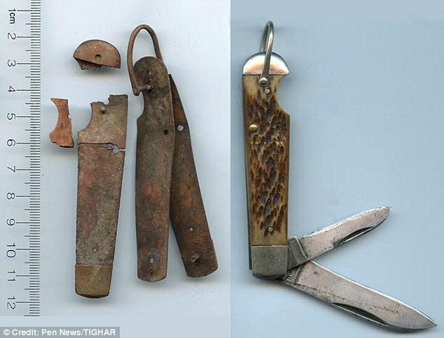 Mới đây, chuyên gia về xương thuộc ĐH Tennessee (Knoxville, Mỹ), ông Richard Jantz cho hay xương tìm thấy trên đảo Gardner (hiện được gọi là Nikumaroro) ở Thái Bình Dương năm 1940 có tới 99% thuộc về nữ phi công Amelia Earhart.