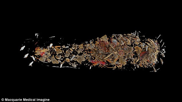 Các chuyên gia còn phát hiện ra một vài xương, vải băng, các mảnh nhựa cây, và hơn 7.000 hạt trong chiếc khăn tang.