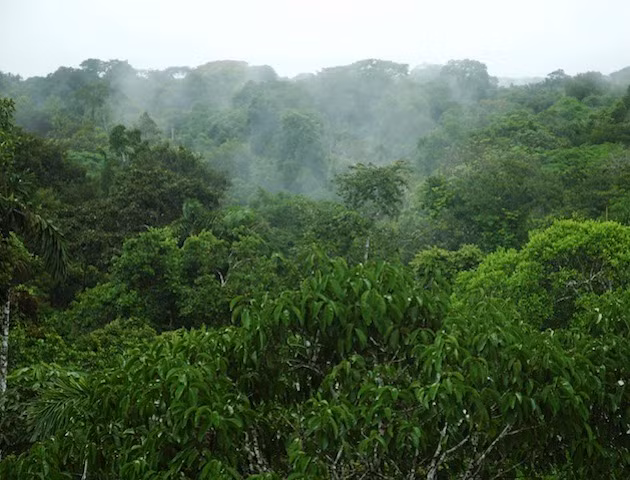 Sau khi tìm được một chút thức ăn, Koepcke quyết định tìm người giúp đỡ. Do vậy, cô lạc trong rừng suốt 9 ngày để tìm kiếm sự giúp đỡ.