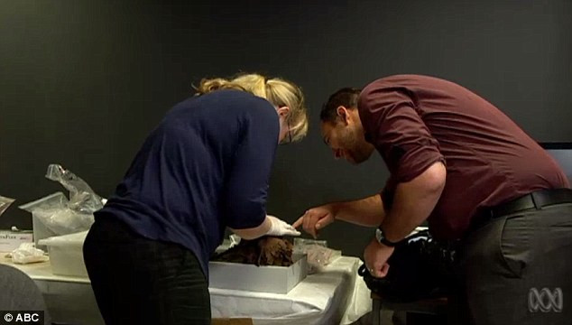 Chiếc quan tài chứa xác ướp bị lãng quên trên là một trong 4 quan tài được nhà sáng lập bảo tàng trên đưa từ Ai Cập về vào khoảng năm 1860. Một cuốn sổ tay để lại ghi rằng quan này này trống rỗng bên trong. Vì vậy, không ai mở chiếc quan tài này ra trong hơn 100 năm qua.