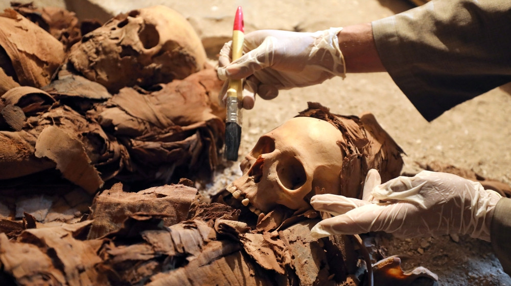 Trong quá trình khai quật ngôi mộ cổ, các chuyên gia tìm thấy các bức tượng của thợ kim hoàn Amenemhat cùng vợ và một trong những người con trai của ông. Những bộ thi hài và một số đồ trang sức quý báu cũng được phát hiện trong tình trạng khá nguyên vẹn.