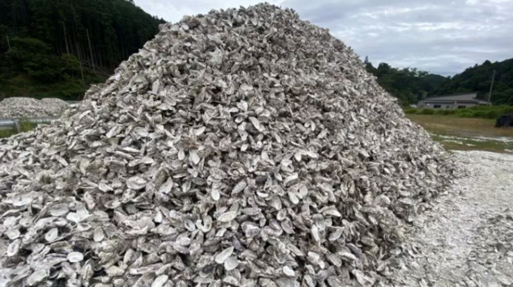 Doc la quan ao, my pham duoc lam tu vo so