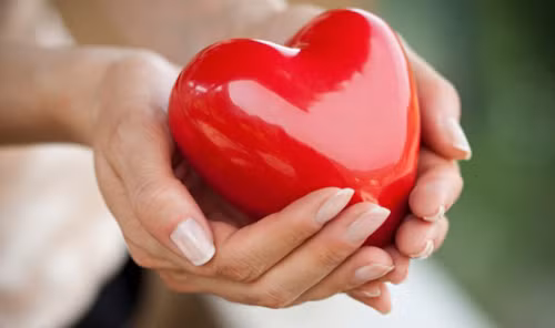 Cải thiện sức khỏe tim mạch. Đặc tính chống viêm cùng lượng chất chống oxy hóa dồi dào trong ngô tím khi đi vào cơ thể làm giảm quá trình oxy hóa của chất béo, ngừa chất béo tích tụ trong động mạch và xơ vữa động mạch. Từ đó, ngăn ngừa các vấn đề về tim mạch gây hại.