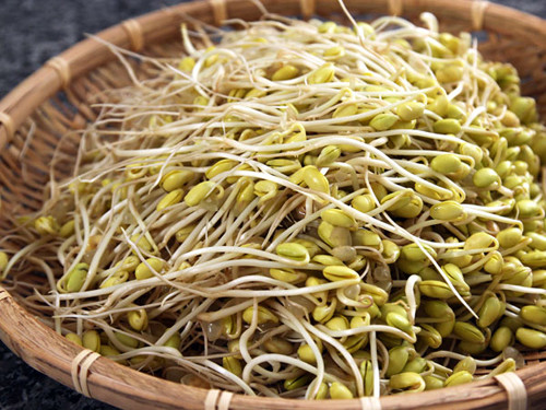 Trong khi đó, ăn khoảng nửa bát giá đỗ có thể cung cấp 230mg canxi.