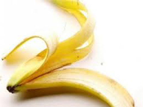 Tuy nhiên để nhận được những lợi ích sức khỏe tuyệt vời trên, bạn cần đảm bảo mình ăn vỏ chuối hữu cơ – loại không bị tẩm hóa chất độc hại. Loại vỏ chuối chứa thuốc trừ sâu và thuốc diệt côn trùng không giúp bạn khỏe hơn mà ngược lại.