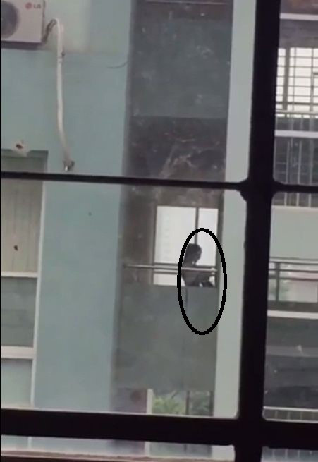 Học sinh làm chuyện nhạy cảm ngay trong trường học? - Hình 3 Hoc sinh lam chuyen nhay cam ngay trong truong hoc?-Hinh-3