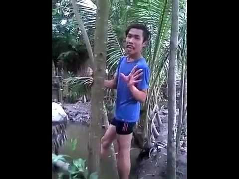 Ngoài đại bộ phận dân mạng luôn có ác cảm, chê bai và chỉ trích Tùng Sơn thì cũng có một bộ phận các bạn trẻ khác tỏ ra bức xúc với những người đứng đằng sau nhân vật này, dàn dừng ra các kịch bản, chiêu trò để lợi dụng một người quê mùa, ngô nghê như Tùng Sơn, làm náo loạn cộng đồng mạng. Những người này còn đang "ẩn mình trong bóng tối" và chính họ mới là người tạo ra tất cả những cơn bão mạng, những vụ xôn xao kéo dài nhiều ngày và "khai sinh" ra không ít những "thảm họa mạng" kiếm tiền, lợi nhuận cho họ.