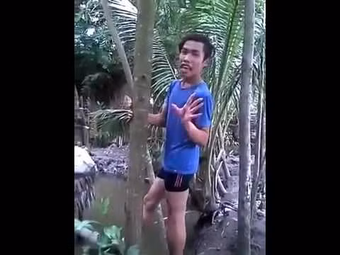 Ngoài đại bộ phận dân mạng luôn có ác cảm, chê bai và chỉ trích Tùng Sơn thì cũng có một bộ phận các bạn trẻ khác tỏ ra bức xúc với những người đứng đằng sau nhân vật này, dàn dừng ra các kịch bản, chiêu trò để lợi dụng một người quê mùa, ngô nghê như Tùng Sơn, làm náo loạn cộng đồng mạng. Những người này còn đang "ẩn mình trong bóng tối" và chính họ mới là người tạo ra tất cả những cơn bão mạng, những vụ xôn xao kéo dài nhiều ngày và "khai sinh" ra không ít những "thảm họa mạng" kiếm tiền, lợi nhuận cho họ.