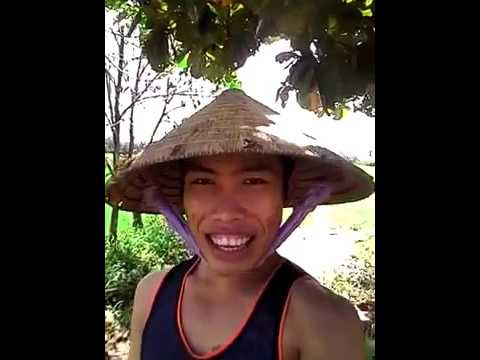 Về việc Tùng Sơn cầu cứu công an và tiết lộ sẽ trở về quê, theo Tấn Đạt thì đó giống như một kịch bản và cho đến hiện tại Tùng Sơn vẫn đang ở Sài Gòn. Dựa vào những thông tin này, nhiều dân mạng cho rằng thời gian tới cộng đồng Facebook Việt có lẽ vẫn chưa thể yên ổn bởi "công chúa Thủy Tề" có thể sẽ trở lại bất cứ lúc nào, thậm chí là còn mang theo nhiều chiêu trò kinh khủng hơn nữa.