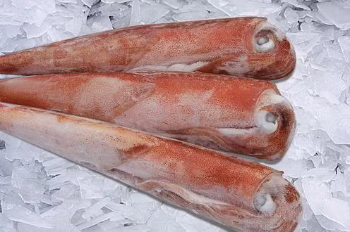  Cách chọn mực trứng ngon không hề khó. Mực trứng ngon là phải còn tươi, sau khi nấu chín mực căng tròn đầy trứng, túi mực không bị dập, khi ăn thơm bùi ngon lành.