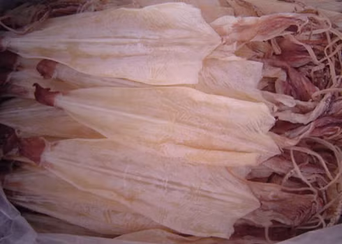 Mực càng tươi lớp phấn trắng này càng dày và ngược lại. Vì thế, chọn mua những con mực khô với lớp phấn bên ngoài dày là một sự lựa chọn tốt dành cho bạn.