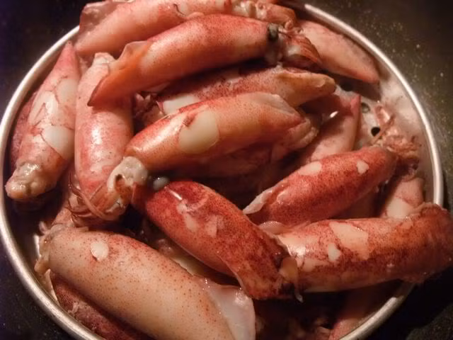 Mực trứng tươi ngon là những con mực đầu không bị đứt rời khỏi thân, túi mực không dập, da sáng óng ánh, mắt trong xanh.