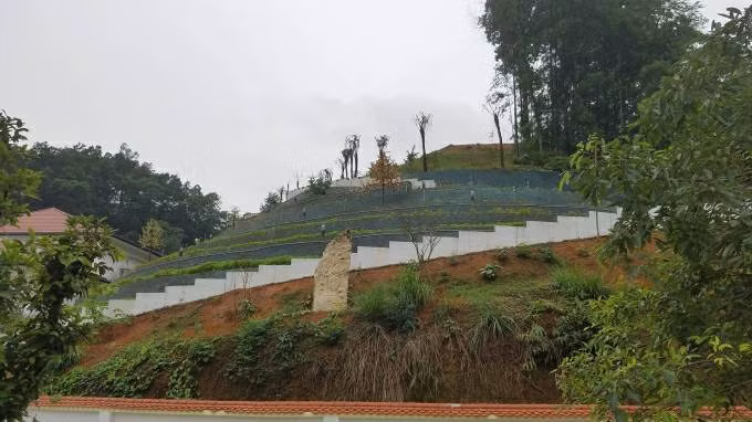 Khi chưa xử lý việc chậm nộp tiền sử dụng đất, lệ phí trước bạ, UBND TP lại cấp Giấy chứng nhận quyền sử dụng đất cho bà Huệ là không đúng với quy định của Luật Đất đai.