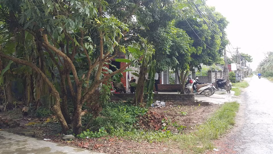 Dang trong rau, nguoi dan ba bi day dien roi trung nguoi tu vong