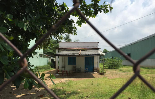 Thu doan cua ga chong giet vo roi nghen ngao lo hau su-Hinh-2