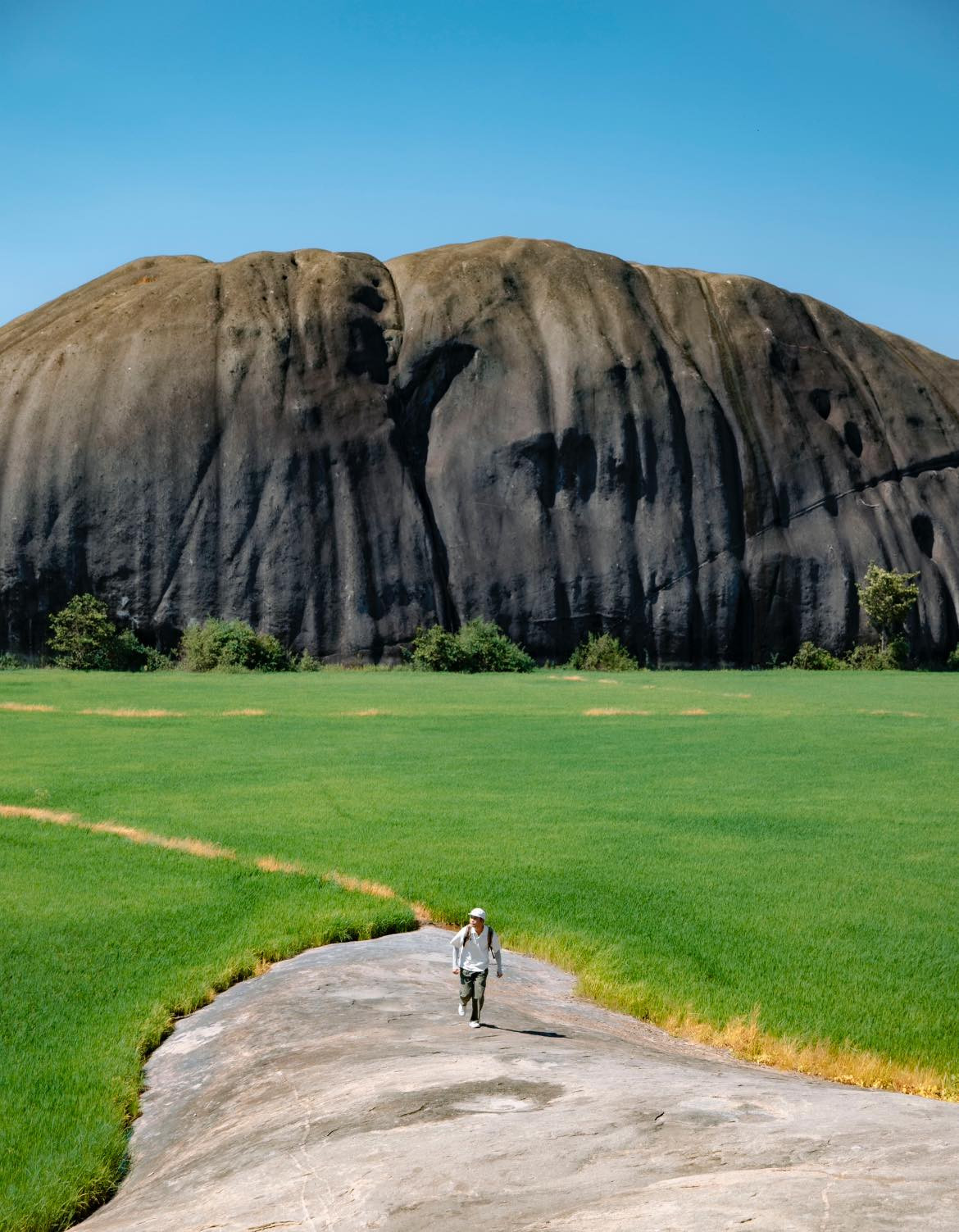 Theo nhiều du khách, khoảng thời gian chụp hình đẹp ở đây là vào mùa lúa non. 
