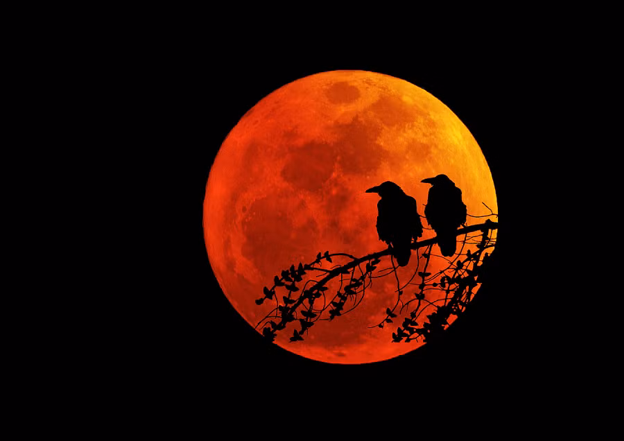 Sự xuất hiện này kéo theo việc Trái Đất sẽ bị phá hủy bởi những trận động đất kinh hoàng.