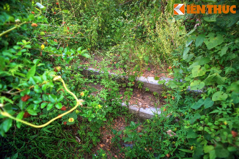 Các lối đi, bậc cấp bằng đá bị chìm lấp dưới thảm cây cỏ dại dày đặc.